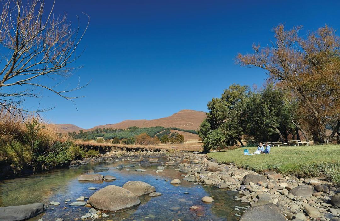 Photo of Others in Drakensberg Gardens