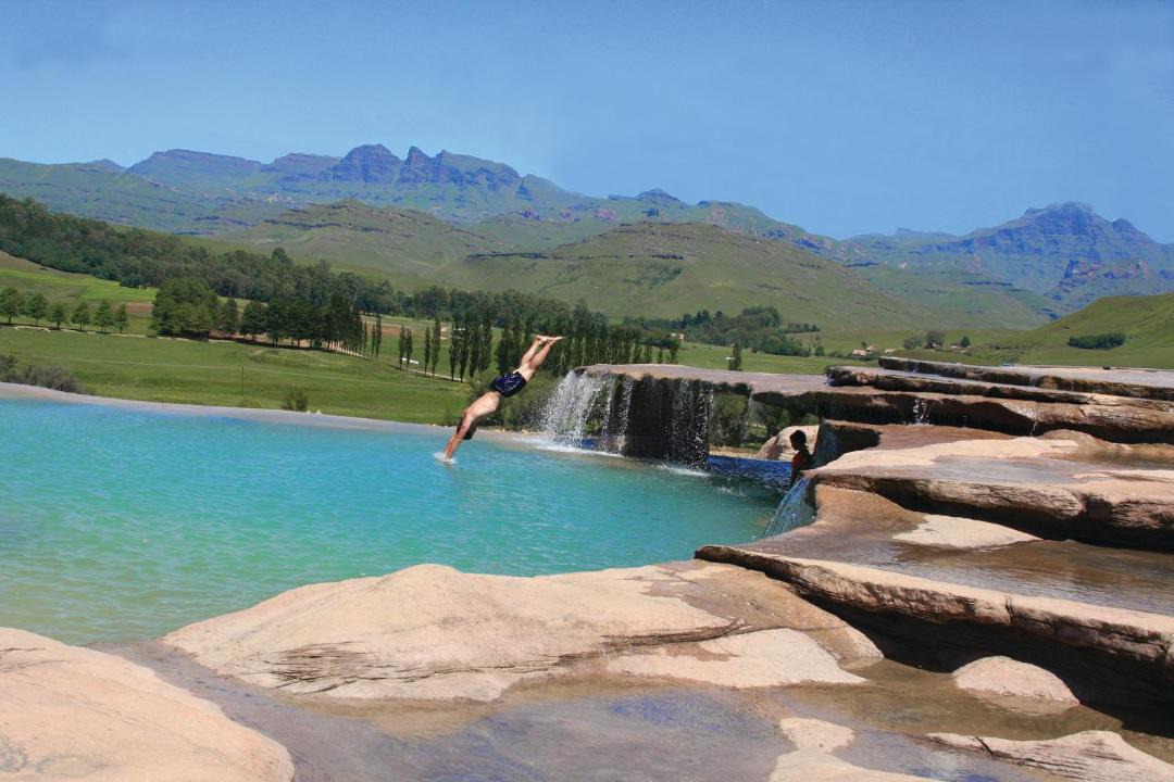 Photo of Others in Drakensberg Gardens