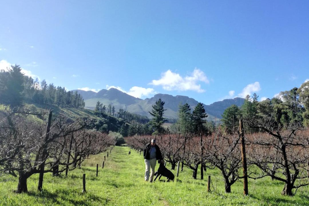 Photo of Others in Paarl