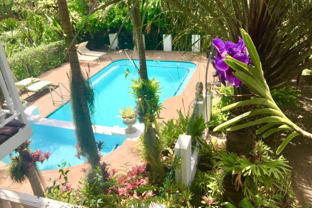 Photo of Others in St. Lucia