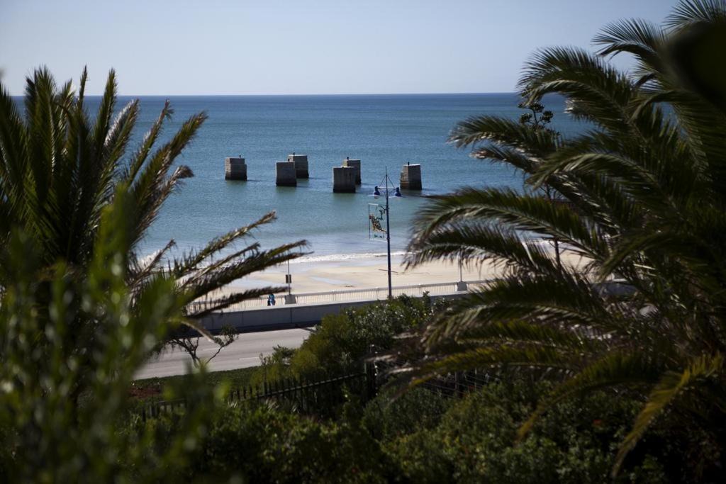 Photo of Others in Summerstrand