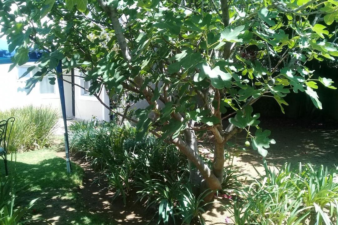 Photo of Others in Edenvale