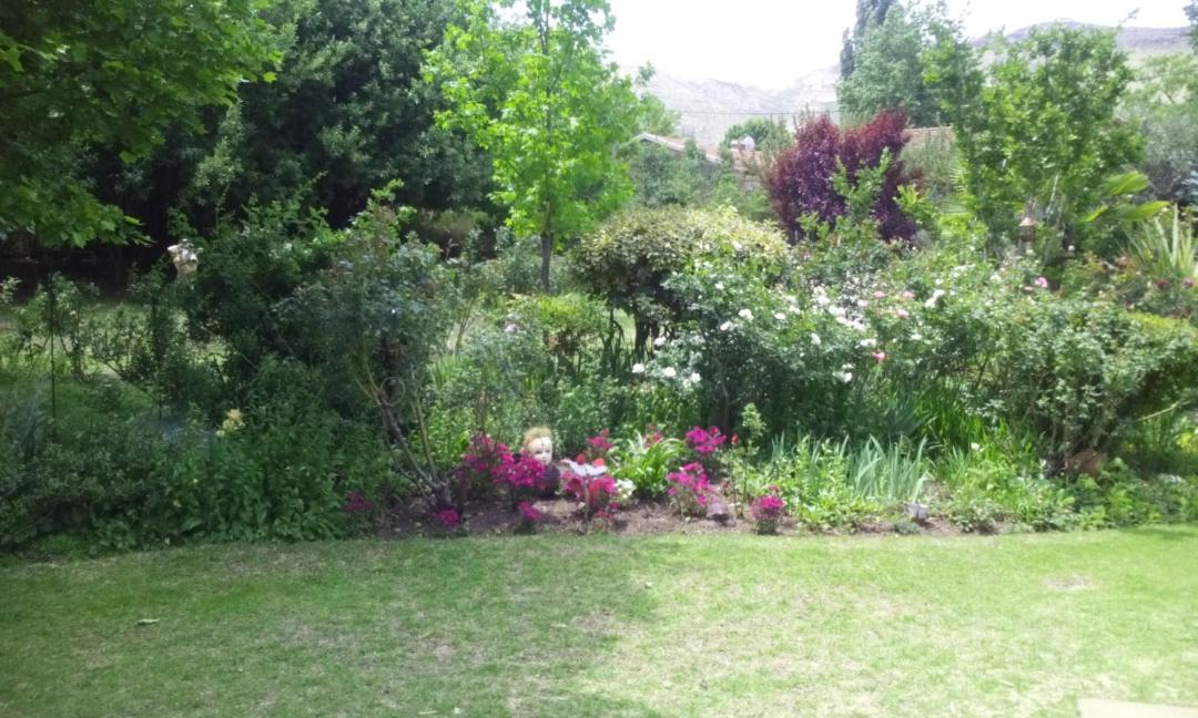 Photo of Others in Clarens
