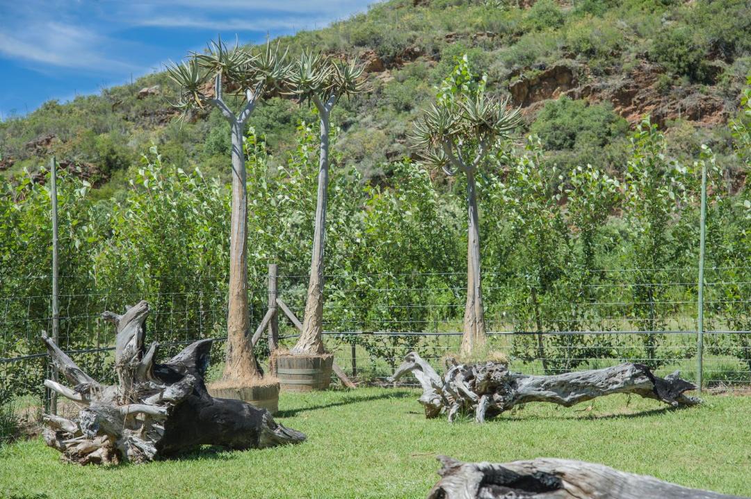 Photo of Outdoor in Langeberg