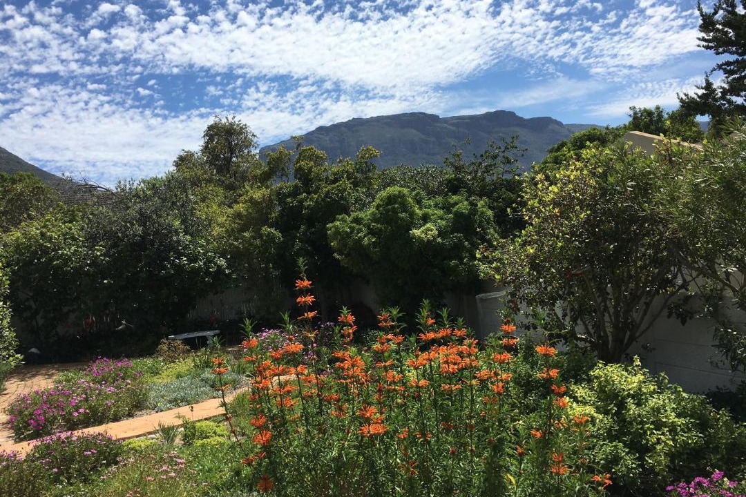 Photo of Others in Hout Bay