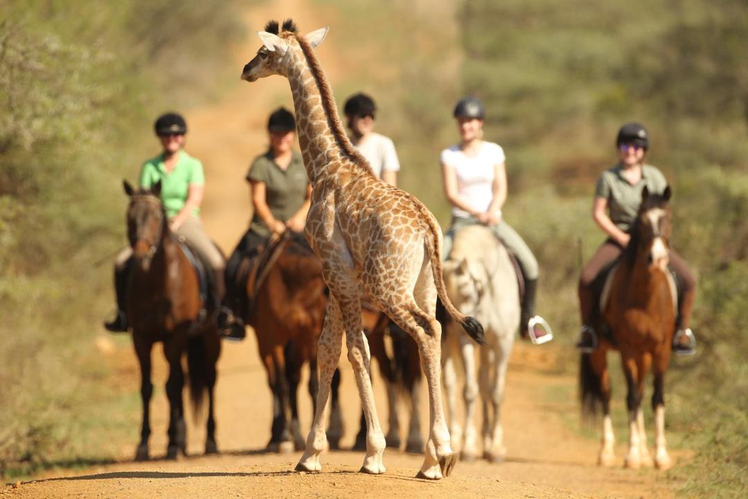 Photo of Others in UPhongolo