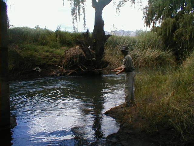 Photo of Others in Clarens
