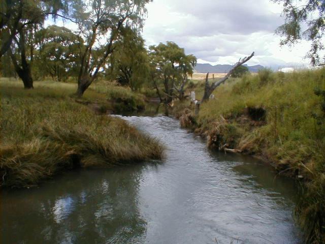 Photo of Others in Clarens