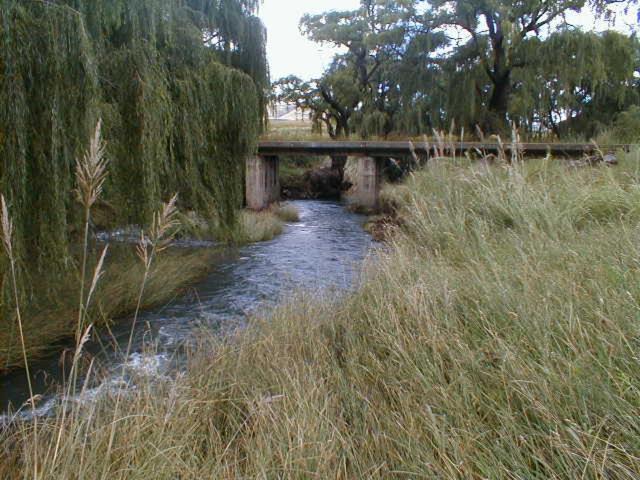 Photo of Others in Clarens