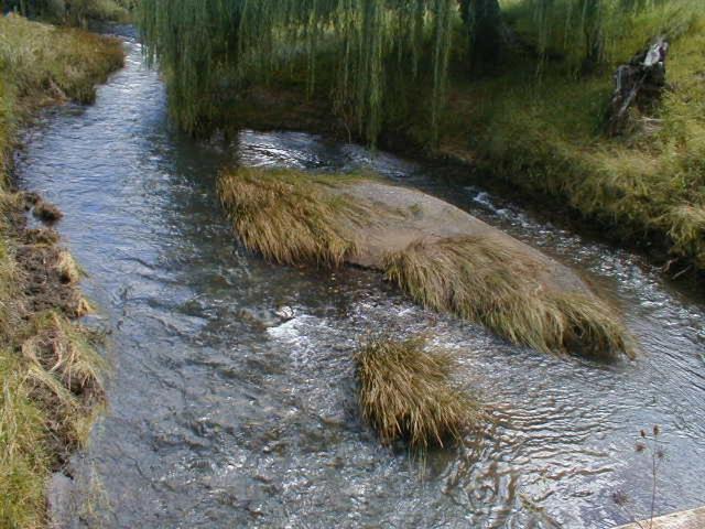 Photo of Others in Clarens