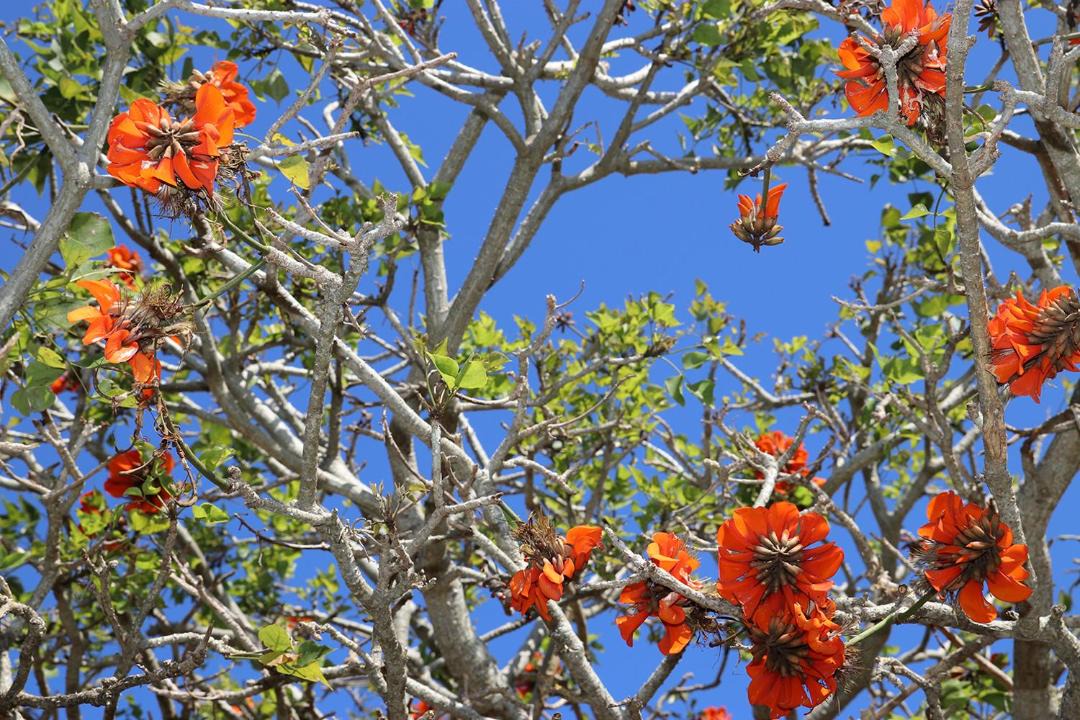 Photo of Others in Saint Francis Bay