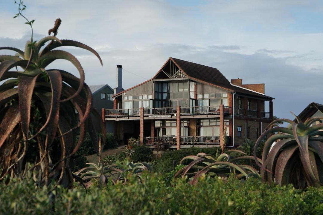 Photo of Others in Jeffreys Bay