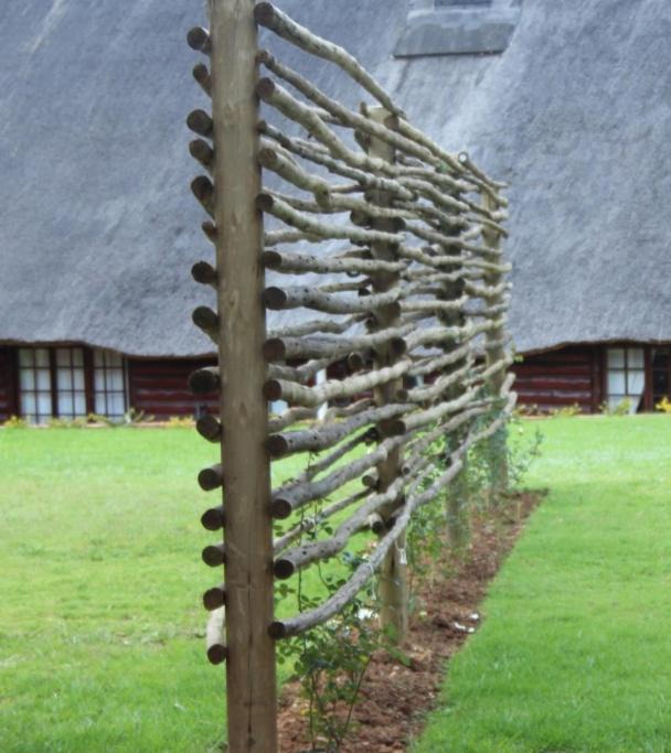 Photo of Others in Dullstroom