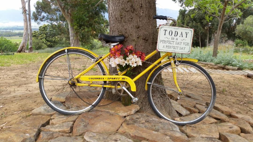 Photo of Others in Tulbagh