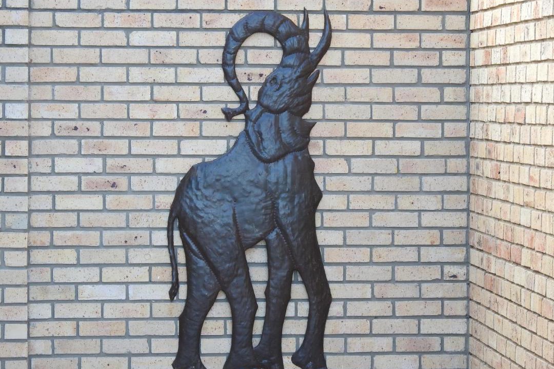 Photo of Others in Colchester