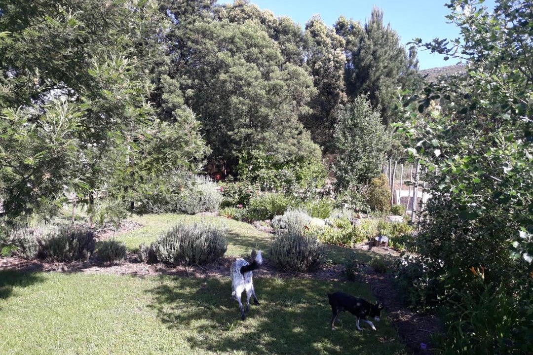 Photo of Others in Joubertina