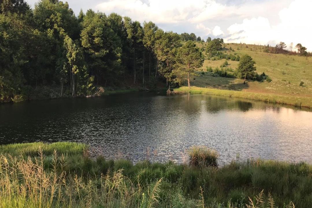 Photo of Others in Dullstroom