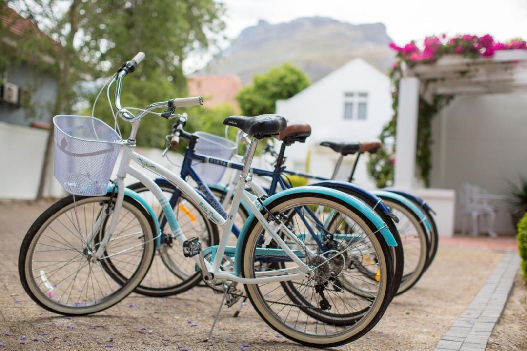 Photo of Others in Stellenbosch
