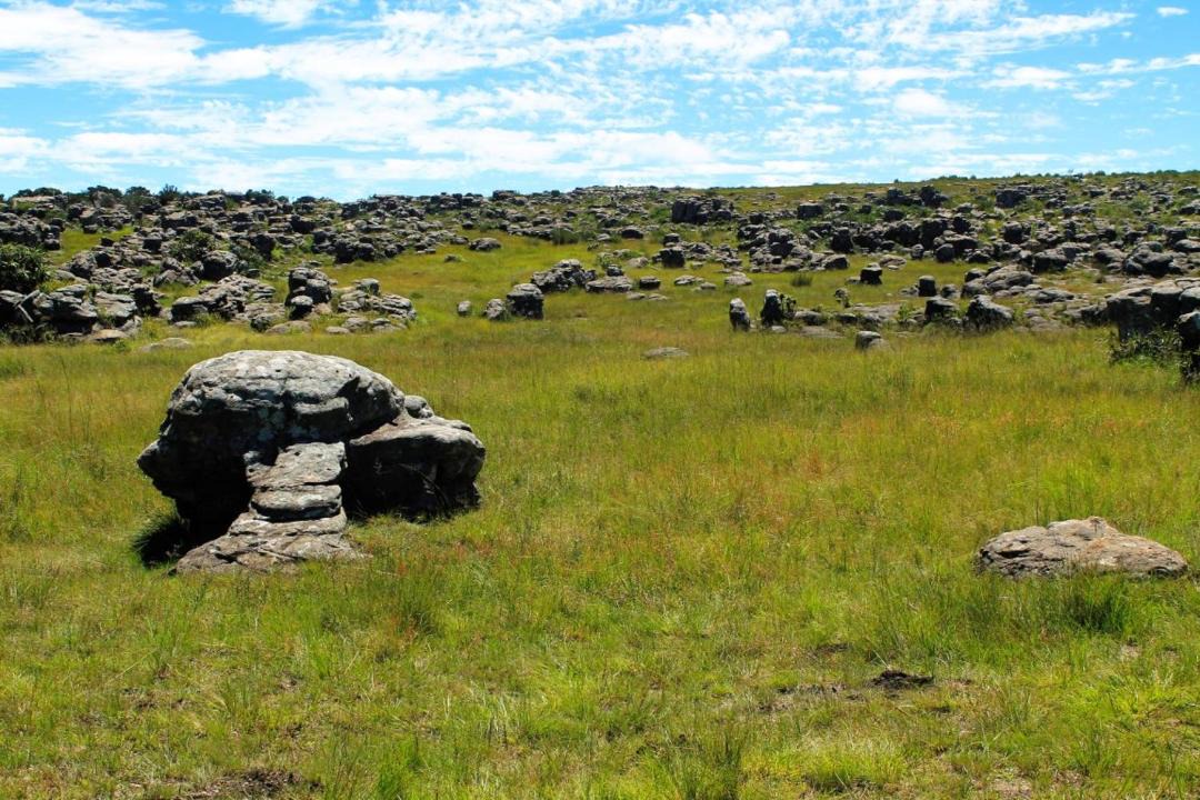 Photo of Others in Kaapsehoop