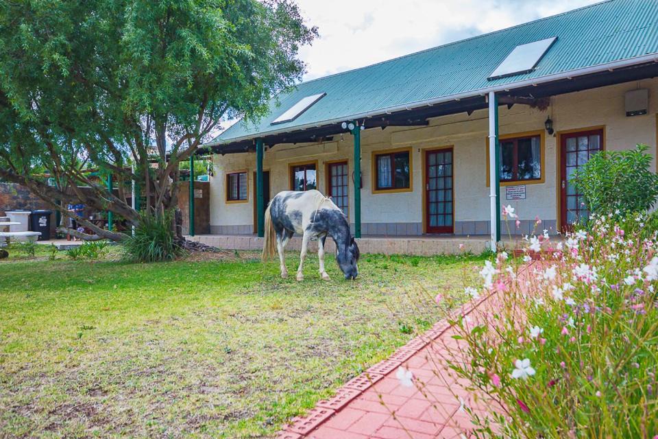 Photo of Others in Helderberg Rural