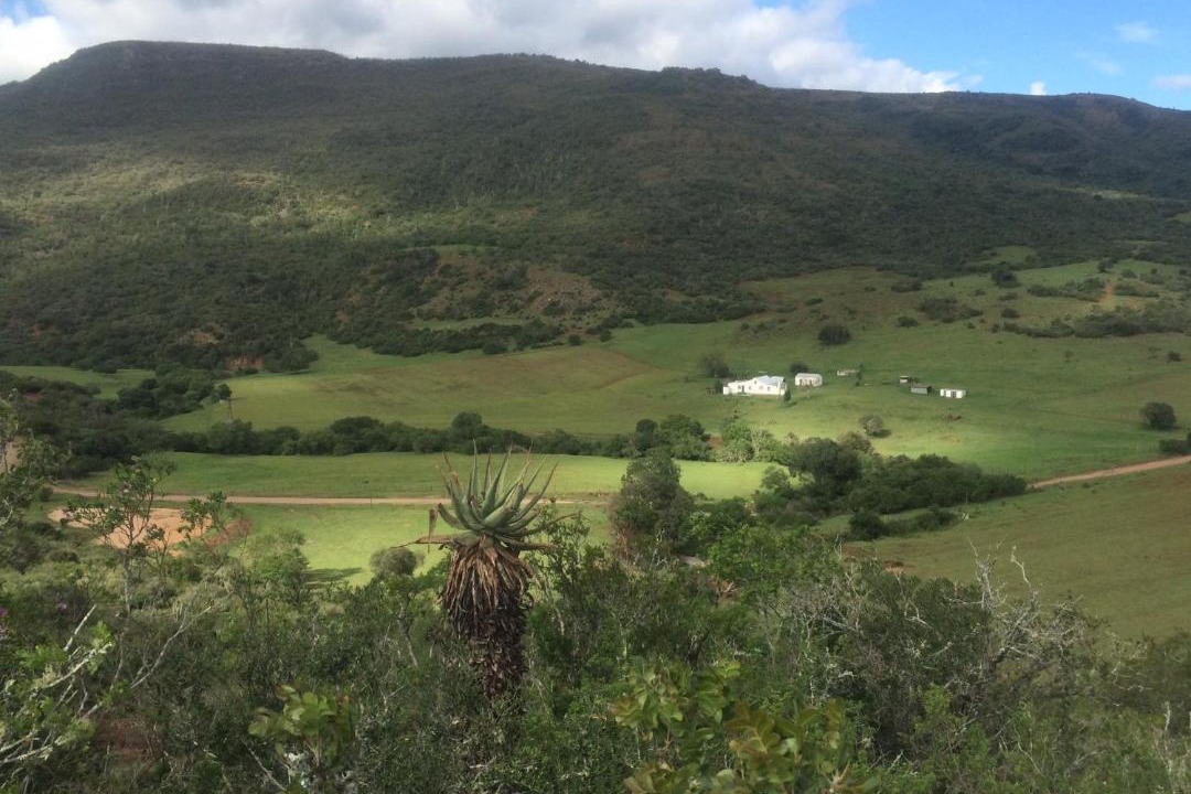 Photo of Others in Addo