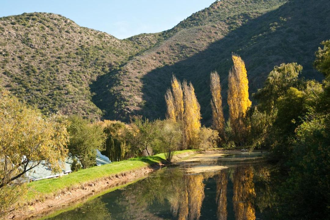 Photo of Others in Schoemanshoek