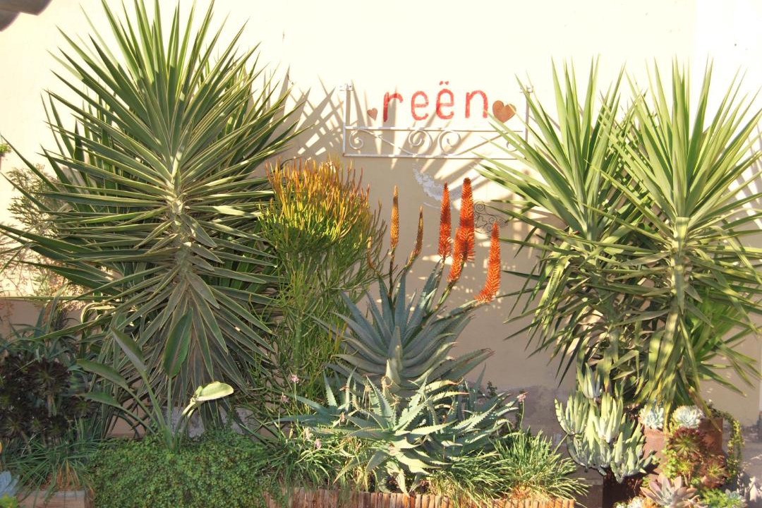 Photo of Others in Leliefontein