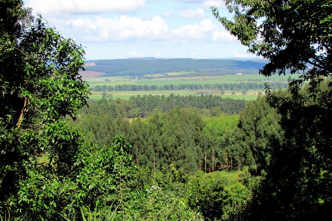 Photo of Others in Karkloof Nature Reserve