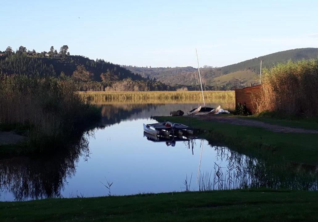 Photo of Others in Sedgefield