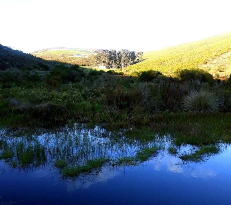 Photo of Others in Papiesvlei