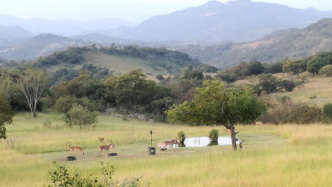 Photo of Others in Nelspruit