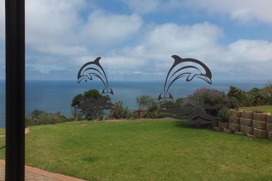 Photo of Others in Dana Bay