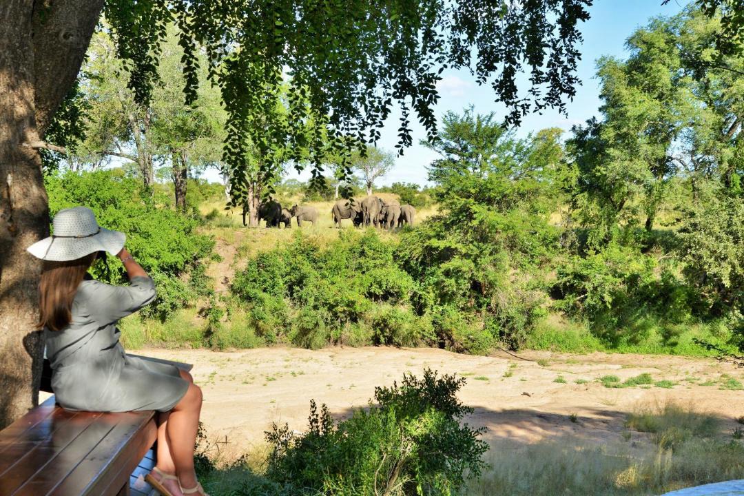 Photo of Others in Kruger National Park