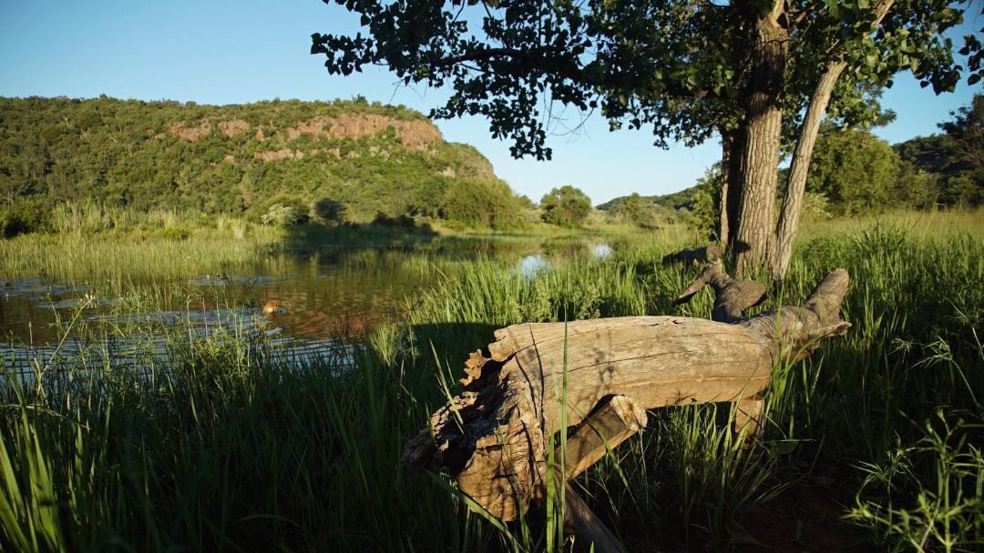 Photo of Others in Vaalwater