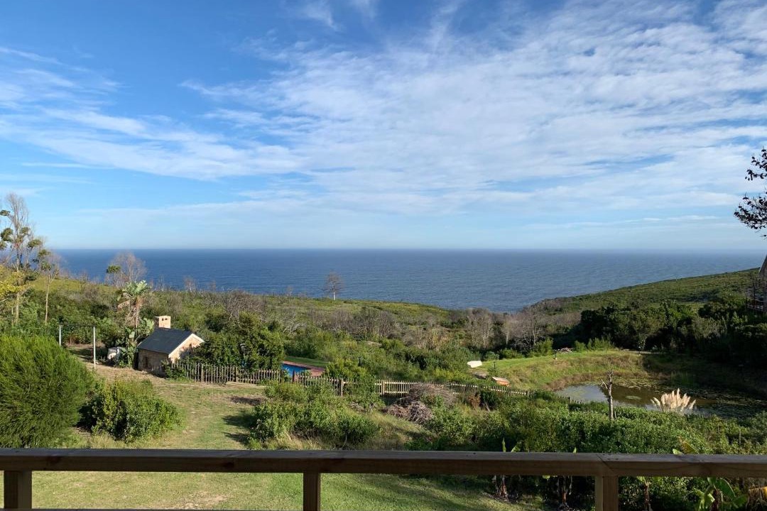 Photo of Others in Plettenberg Bay