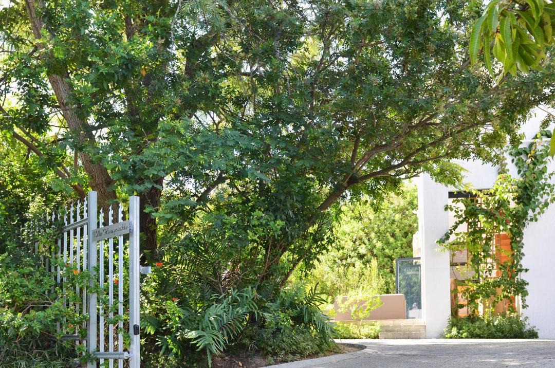 Photo of Others in Stellenbosch