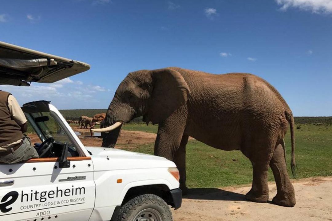 Photo of Others in Addo