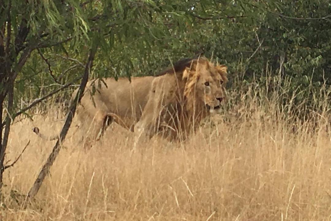 Photo of Others in Maruleng