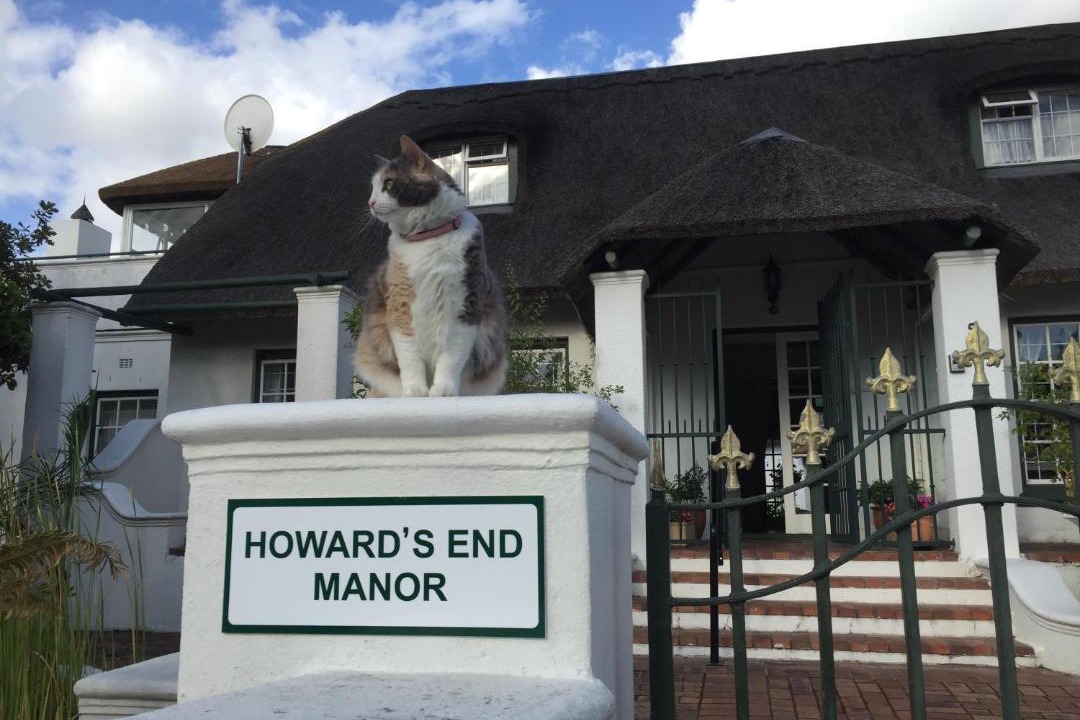 Photo of Others in Pinelands
