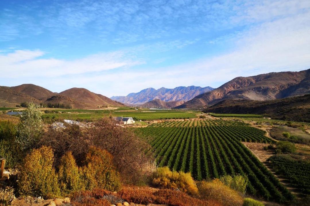 Photo of Others in Montagu