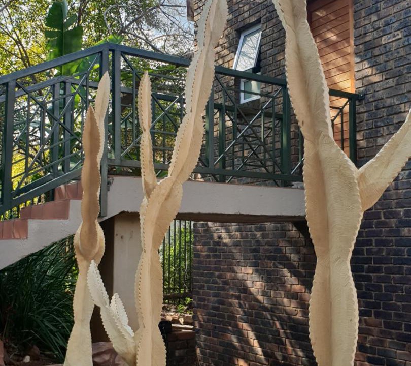 Photo of Others in Waterkloof Glen