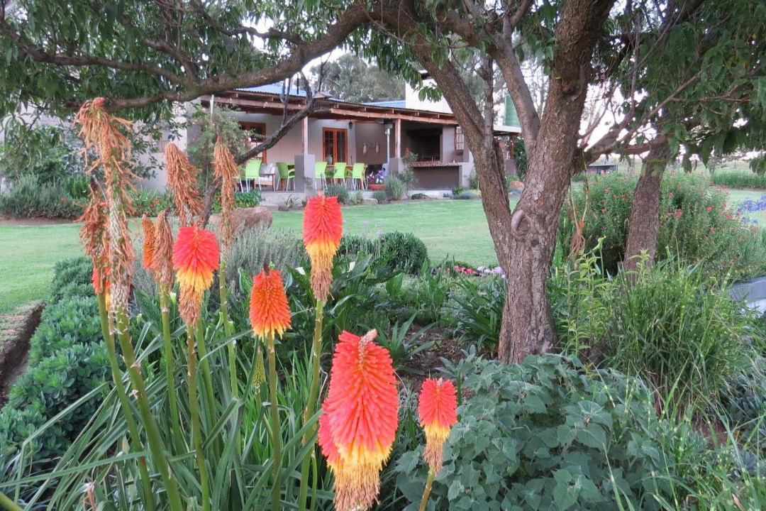 Photo of Others in Wakkerstroom