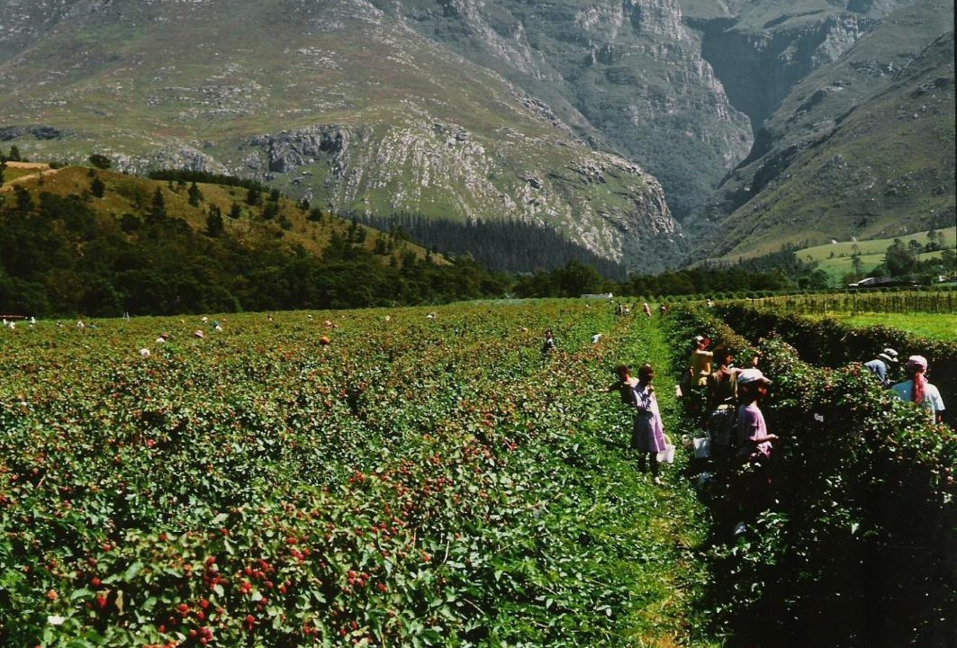 Photo of Others in Swellendam