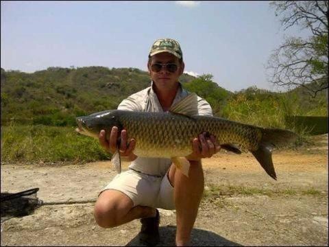 Photo of Others in Nelspruit