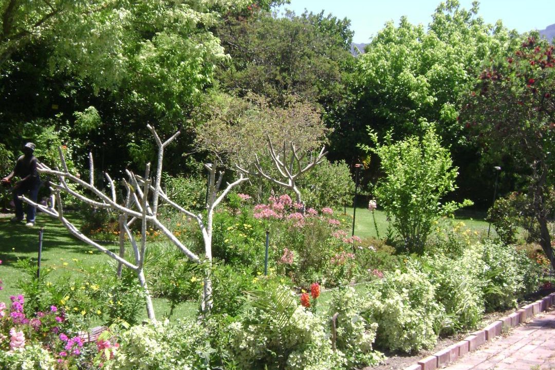 Photo of Others in Constantia