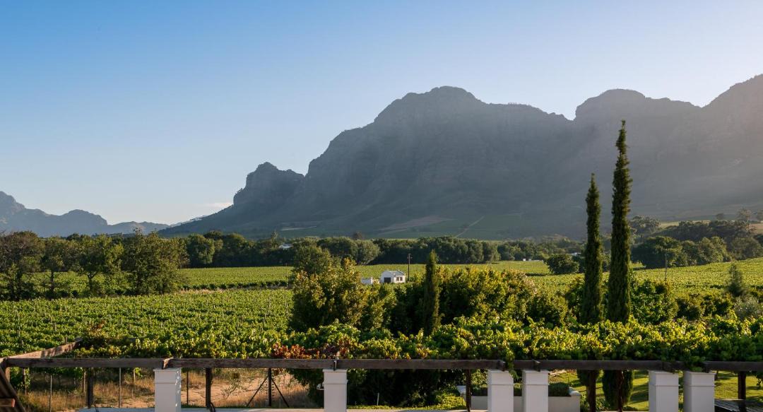 Photo of Others in Cape Winelands