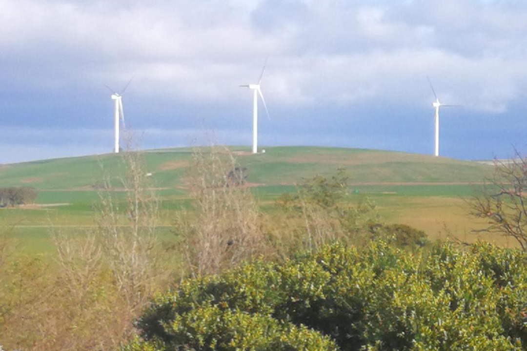 Photo of Others in Caledon
