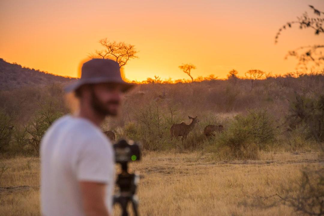 Photo of Others in Madikwe Game Reserve