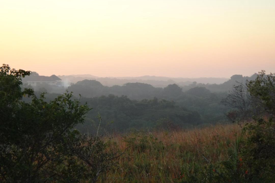 Photo of Others in Sodwana Bay