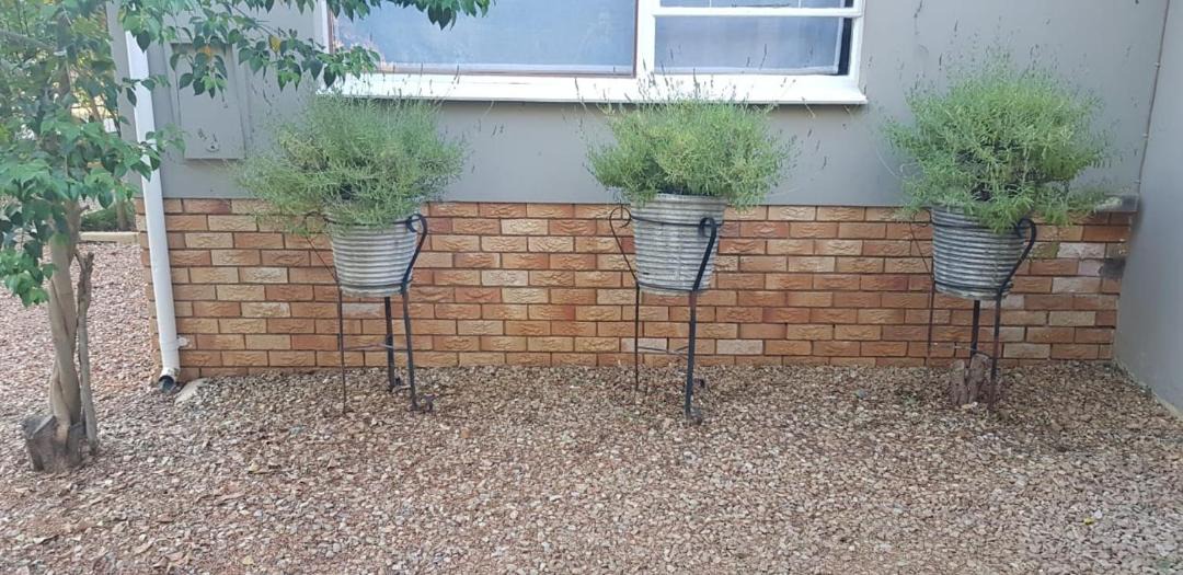 Photo of Others in Cradock
